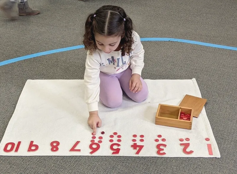Numbers and counters
