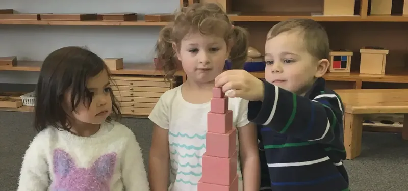 The pink tower, together